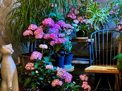 -花二家·生活馆(六运小区店)