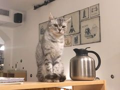 -隅cafe(傅厚岗店)