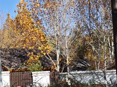 -静之湖湖畔餐厅