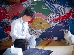 -泰国佛·塔罗·泰牌狐仙古曼
