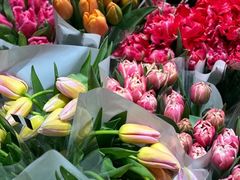 -双季花艺园艺市场(浦东店)