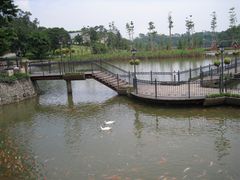 -东部华侨城