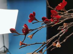 -海马体照相馆(北京apm店)