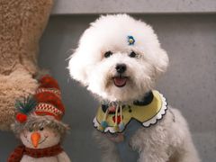 -初甜·舒芙蕾·韩式雪花冰(流塘店)
