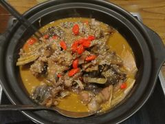 甲鱼肉-洪湘记川湘·甲鱼馆(四海凯悦美食广场店)