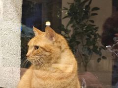 -COTTON CAFE(德信·中外公寓店)