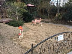 -上海植物园·停车场