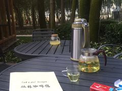 -同里国家湿地公园