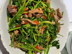 香菜炒牛肉-壹盏灯(蚂蚁工房店)