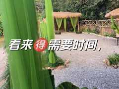 -北仑森林植物园