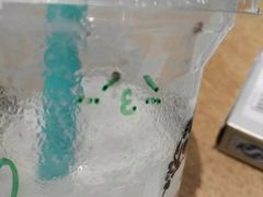 -卡旺卡(淮北鼎盛国际店)