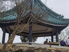 -无锡梅园公园
