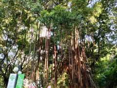 -晓港公园