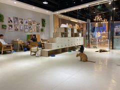 -藏猫猫咖啡主题馆(中央大道店)