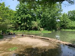 -桤木河湿地公园