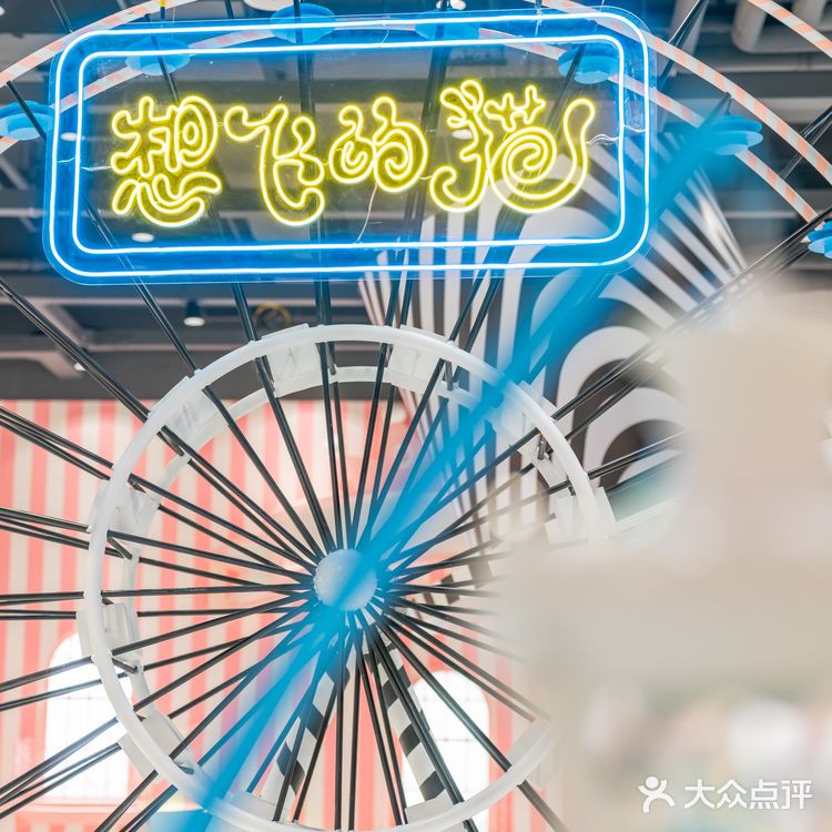 萌翻了！500m²的「猫咪游乐园」，30+只喵rua到手软！