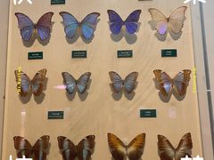 -陕西自然博物馆