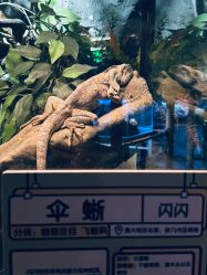 -Zoolung Zoolung动物主题公园(海信广场店)