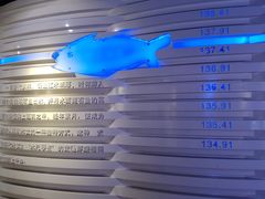 -白鹤梁水下博物馆
