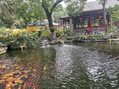 -白家大院·王府宫廷菜(苏州街店)