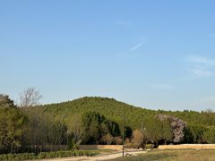 -秦始皇帝陵博物院-丽山园