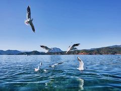 -丽江泸沽湖景区