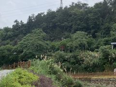 -梅岭月亮湾山体公园