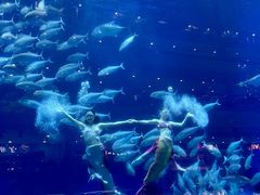 -成都浩海立方海洋公园