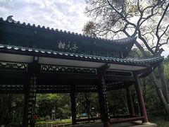 -柳侯公园