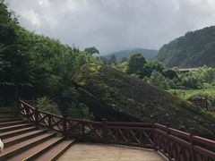 -黎坪国家森林公园