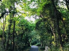 -大蜀山国家森林公园