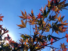 -井冈山风景名胜区