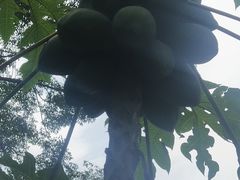 -青青世界