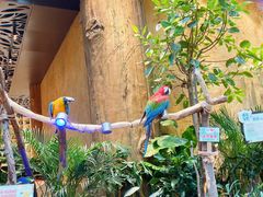 -杭州开元森泊度假乐园