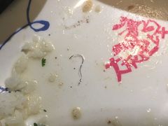 -大灰狼(中心书城店)