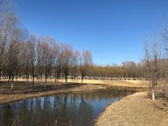 -东郊湿地公园