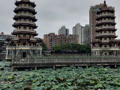-宝岛公园