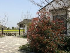 -梁鸿国家湿地公园
