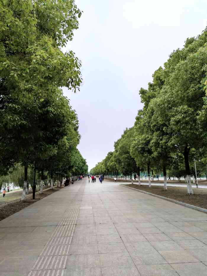 汉阳江滩公园-"连日来的雨水,使武汉江滩的水位持续上涨,.