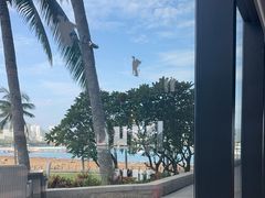 -雾山韩式烤肉·海南糟粕&椰子鸡火锅·海景餐厅(三亚绿发山海天JW万豪酒店)