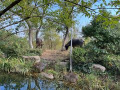-茅山东方盐湖城景区