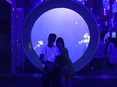 -成都浩海立方海洋公园