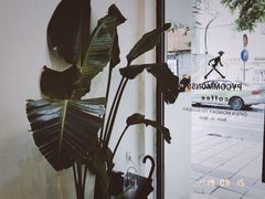 -常识咖啡common sense(春熙路店)