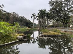 -云溪植物园
