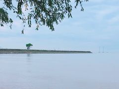 -宝安西湾红树林湿地公园