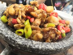 -古田会·肥肠鸡(古田店)