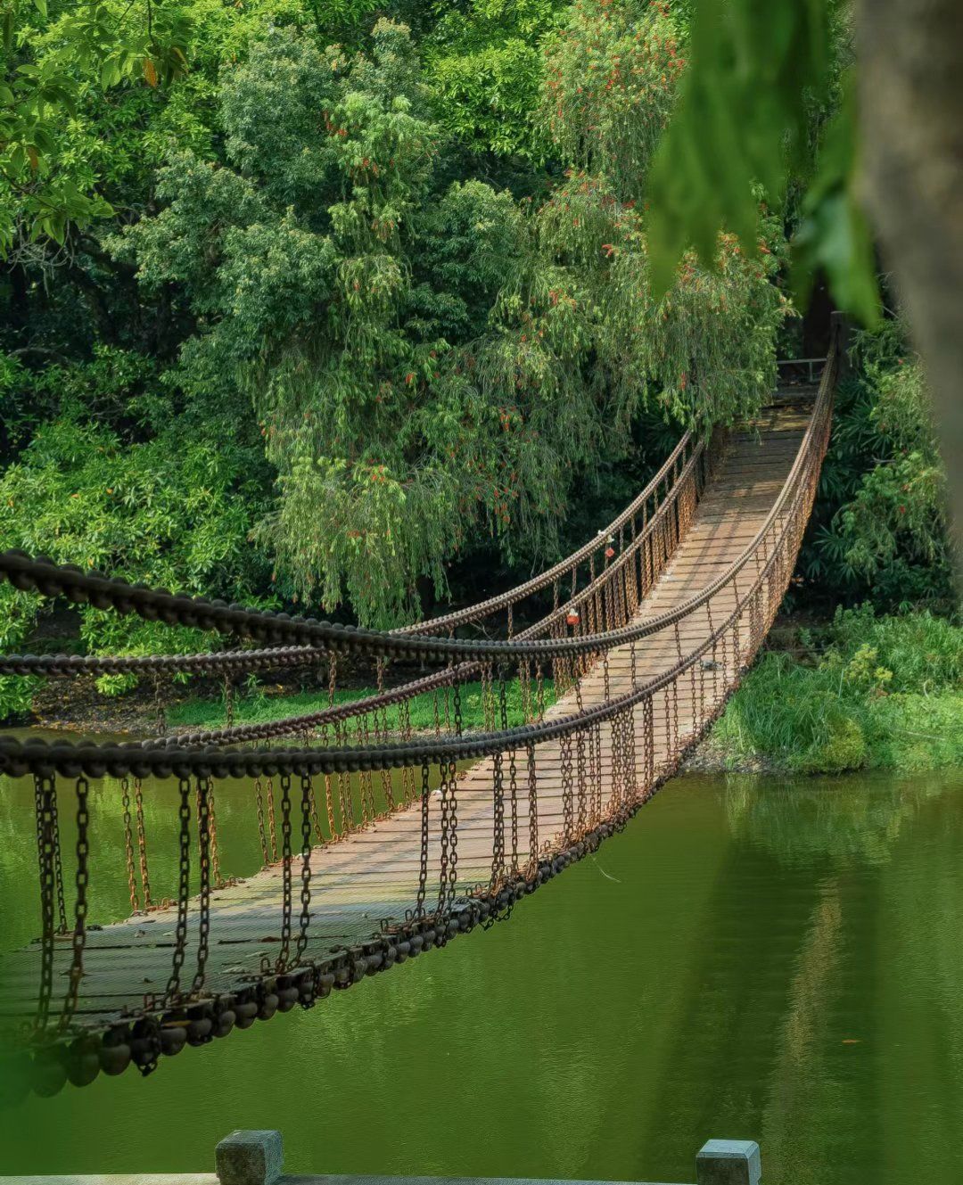 439∶8中国何以完胜美国