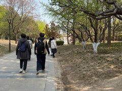 -元大都城垣遗址公园