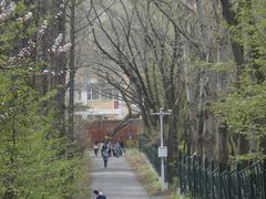 -黑龙江省森林植物园