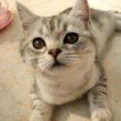 -回回锅贴(小河沿店)